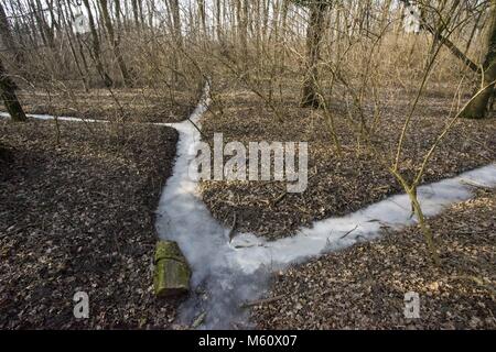 Poznan, Pologne, Grande Pologne. Feb 27, 2018. Un autre jour froid en Pologne. Credit : Dawid Tatarkiewicz/ZUMA/Alamy Fil Live News Banque D'Images