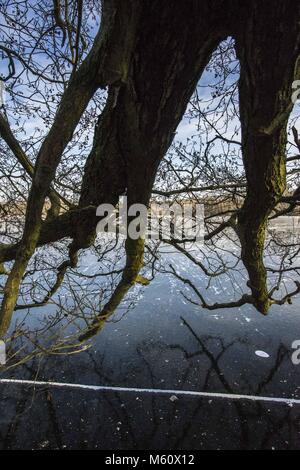 Poznan, Pologne, Grande Pologne. Feb 27, 2018. Un autre jour froid en Pologne. Credit : Dawid Tatarkiewicz/ZUMA/Alamy Fil Live News Banque D'Images