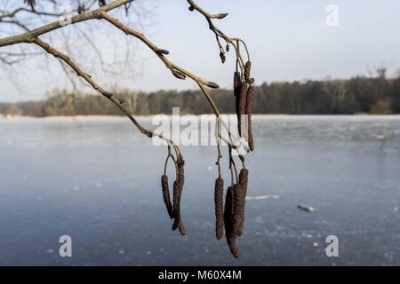 Poznan, Pologne, Grande Pologne. Feb 27, 2018. Un autre jour froid en Pologne. Credit : Dawid Tatarkiewicz/ZUMA/Alamy Fil Live News Banque D'Images