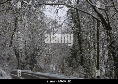 Edenbridge, UK. Feb 27, 2018. De lourdes chutes de neige de Sibérie dans le Kent comme prévu la bête de l'est passe au-dessus de la température la plus froide donnant au Royaume-Uni depuis 1986 Credit : Keith Larby/Alamy Live News Banque D'Images