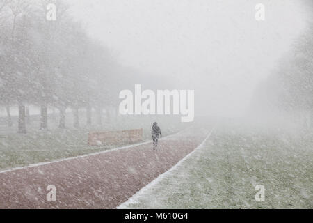 Windsor, Royaume-Uni. 27 Février, 2018. Une femme marche sur la longue promenade à Windsor Great Park en neige tourbillonnante. Credit : Mark Kerrison/Alamy Live News Banque D'Images