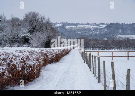 Bluebell Hill, Aylesford, Kent, UK. Feb 27, 2018. Météo - de la neige profonde sur les sentiers et de chemins de dunes du nord apporte le sud est à l'arrêt. Credit : Matthew Richardson/Alamy Live News Banque D'Images
