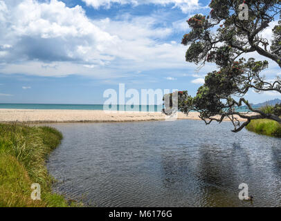 Vue de la plage à Langs, Nouvelle-Zélande Banque D'Images