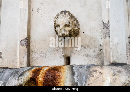 Close up fontaine publique en forme de tête de lion à Rome, Italie Banque D'Images