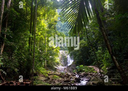 Printemps de la jungle avec cascades. Journée ensoleillée dans la forêt tropicale. La Thaïlande du sud. Banque D'Images