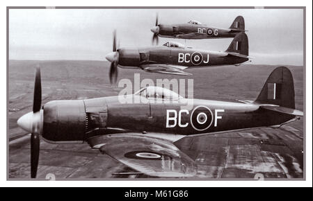 Vintage B&W 1940 Hawker Sea Fury aircraft Naval Sea Bombers en formation post WW2 Banque D'Images