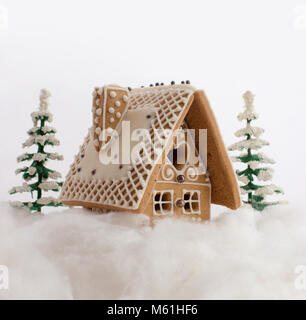 La maison est couverte de neige et deux arbres. Le ciel blanc en arrière-plan. Banque D'Images