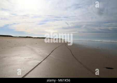 Les pistes cyclables dans le sable sur la plage, à l'image horizontale Banque D'Images