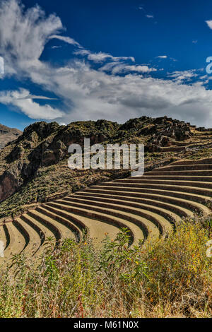 Terrasses agricoles et Q'Allaqasa (secteur résidentiel), les ruines de Pisac, Pisac, Cusco, Pérou Banque D'Images