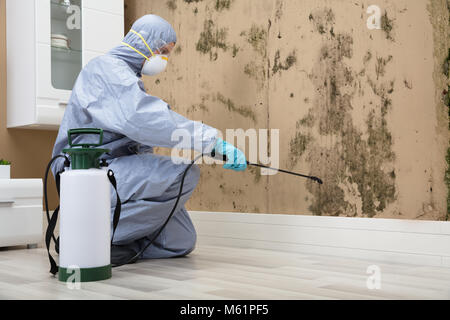 Travailleur antiparasitaires en uniforme de la pulvérisation des pesticides dans mur endommagé avec pulvérisateur Banque D'Images