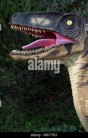 La tête d'un dinosaure, d'un modèle grandeur nature, montrant ses dents pointu et un oeil jaune en vrille. La Côte Jurassique, Dorset, Angleterre. Banque D'Images