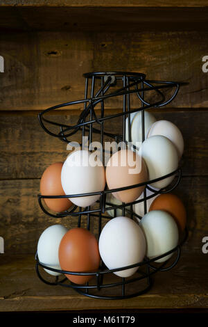 Les œufs pondus par les poulets domestiques conservés dans jardin affichée sur une spirale metal rack d'oeufs - les garde en ordre de date ou de fraîcheur Banque D'Images