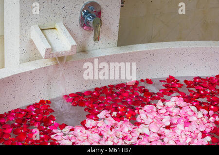 Rose rouge et rose dans l'eau dans la baignoire Banque D'Images