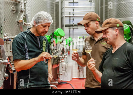 Jörg Geiger Manufaktur pour le vin de fruits et les jus. La coordination de la Cuvée Nr. 22, avec le technicien en jus de fruits Martin Wolf et le cuisinier qualifié Martin Recher - les deux gardiens des secrets des recettes Banque D'Images