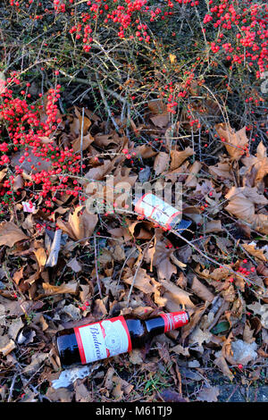 Les bouteilles de bière Budweiser vide laissé jeter dans la litière par couverture, England, UK Banque D'Images