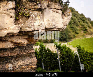 Détail de keuper rock dans le vignoble allemand. Gipskeuper caractérise le terroir du Grossen Lagen à Iphofen, dont le Julius-Echter-Berg est le site le plus célèbre Banque D'Images