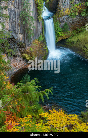 Toketee Falls, North Umpqua River, Umpqua National Forest, comté de Douglas, de l'Oregon Banque D'Images