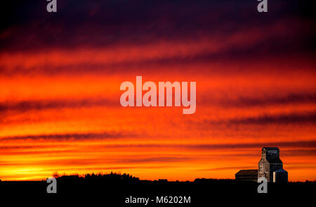 Saskatchewan Prairie Sunset rrural ciel coloré campagne Banque D'Images