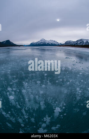 Le Lac Abraham Frozen Bubbles Banque D'Images