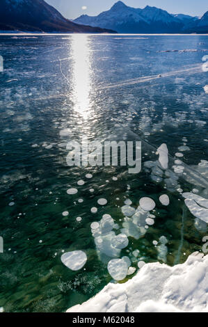 Le Lac Abraham Frozen Bubbles Banque D'Images