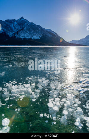 Le Lac Abraham Frozen Bubbles Banque D'Images
