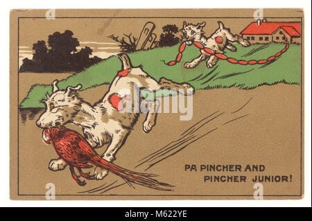 Au début des années 1900 d'origine carte postale d'art, Pa Pincher et Pincher Junior, par Cecil Aldin, vers 1910, au Royaume-Uni. Banque D'Images