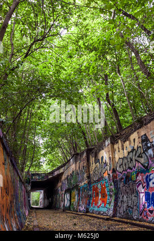 Cours dans le parc public Schöneberger Südgelände Nature Reserve à Berlin, officiellement une station de fret. Banque D'Images