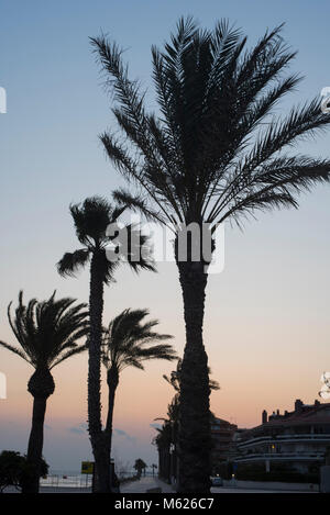 Palmiers silhouetté contre un coucher de soleil colorés de Sitges, au sud de l'Espagne Banque D'Images