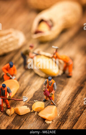 Figures miniatures travaillant sur les arachides macro photographie sur table en bois Banque D'Images