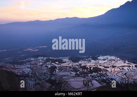 Le lever du soleil dans les terrasses de riz de Yuanyang (Yunnan, Chine) Banque D'Images