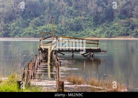 Jetée en bois cassée avec kingfisher sur haut de poster dans Cutipay River, Valdivia, Chili Banque D'Images