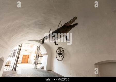 Le dragon de Brno dans l'Ancien hôtel de ville de Brno, République Tchèque, Europe - 22 Février 2018 Banque D'Images