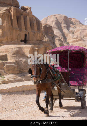 Cheval et un chariot à Petra, Jordanie Banque D'Images