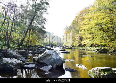 Rivière Ambleve en place ''Fonds de Quarreux'' dans la région de Remouchamps, Liège, Belgique. Beau paysage de la vieille pierre dans la rivière avec l'eau qui coule et l'arbre. Banque D'Images