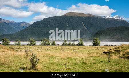 Les lieux de tournage autour de la rivière Dart, Glenorchy, île du Sud, Nouvelle-Zélande Banque D'Images