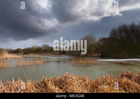 Humber, Lincolnshire du Nord. Feb 27, 2018. UK : Météo nuages chargés de neige sur une fiducie de la faune du Lincolnshire réserve naturelle à Barton-upon-Humber, Nord du Lincolnshire, au Royaume-Uni. 27 février 2018. Credit : LEE BEEL/Alamy Live News Banque D'Images