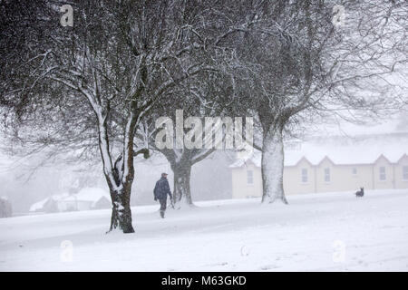 De Lockerbie, en Écosse, au Royaume-Uni. 28 Février, 2018. Météo britannique. Beaucoup de neige provoque l'alerte rouge dans les régions de l'Écosse. Promenade de chiens dans la neige dans McJerrow Park de Lockerbie en Écosse crédit : Allan Devlin/Alamy Live News Banque D'Images