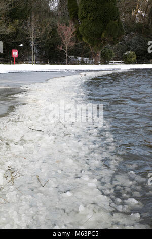 Cornwall, UK. 28 Février, 2018. Vents amers commencent à geler Helston lac de plaisance Crédit : Bob Sharples/Alamy Live News Banque D'Images