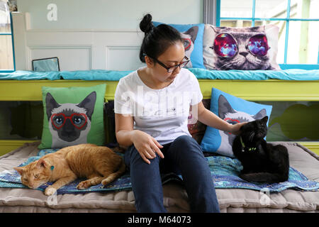 Houston, USA. Feb 27, 2018. Un client interagit avec les chats à El Gato Coffeehouse à Houston, Texas, États-Unis, le 27 février 2018. El Gato a la grande ouverture début février et est devenu le premier cat cafe à Houston. Credit : Yi-Chin Lee/Xinhua/Alamy Live News Banque D'Images