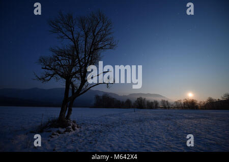 La lune sous l'horizon pendant une nuit claire à l'Mornau tourbière près Seehausen am Staffelsee, Allemagne, 28 février 2018. Photo : Lino Mirgeler/dpa Banque D'Images