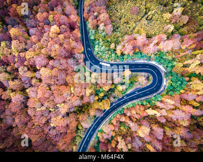 Route sinueuse à travers la forêt. Bonjour le col de montagne en Transylvanie, Roumanie. Vue aérienne d'un drone. Banque D'Images