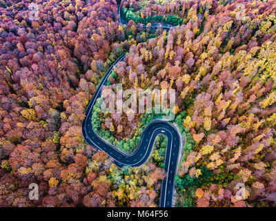 Route courbée par la forêt. Bonjour le col de montagne en Transylvanie, Roumanie. Vue aérienne d'un drone. Banque D'Images