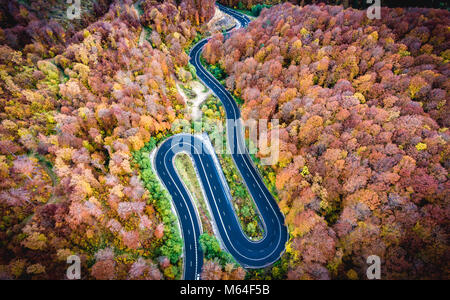 Route courbée par la forêt. Bonjour le col de montagne en Transylvanie, Roumanie. Vue aérienne d'un drone. Banque D'Images