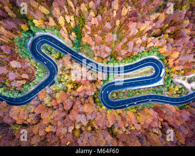 Route courbée par la forêt. Bonjour le col de montagne en Transylvanie, Roumanie. Vue aérienne d'un drone. Banque D'Images