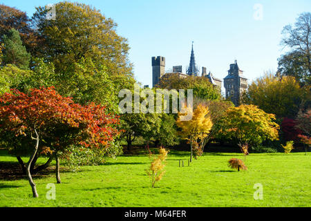 Bute Park avec arbres, dans la ville animée de soleil couleurs d'automne et le château de Cardiff en arrière-plan. Banque D'Images