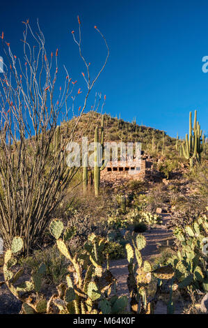 Installation de toilettes historique, construit par Civilian Conservation Corps (CCC) dans les années 1930, Saguaro National Park, désert de Sonora, en Arizona, USA Banque D'Images