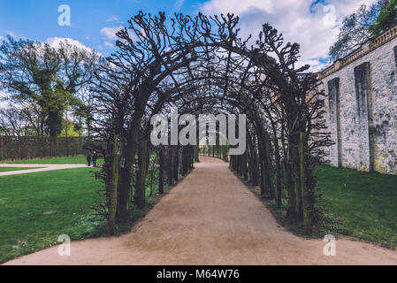 Avril 10th, 2017 - Potsdam, Brandebourg, Allemagne. Vue de la cour intérieure et ivy archway palais du Belvédère dans la nouvelle zone du parc jardin sur le Pfing Banque D'Images