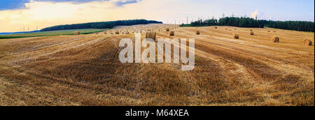 Champ d'automne avec des balles de foin après la récolte. Paysage rural avec des bottes de foin. Panorama shot. Banque D'Images