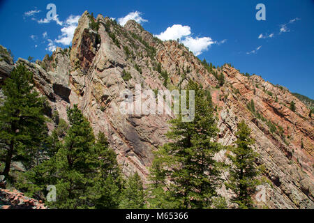 Le long des falaises du canyon Trail Fowler, Eldorado Canyon State Park, Colorado Banque D'Images