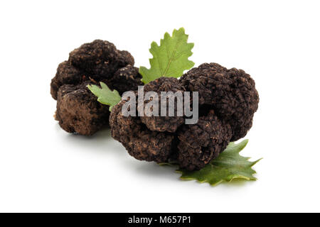 Libre tourné de truffes noires et feuilles de chêne isolé sur fond blanc. Banque D'Images